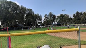 Soccer Field image 1