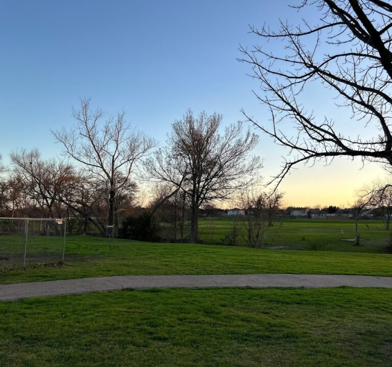 Soccer Field image 2