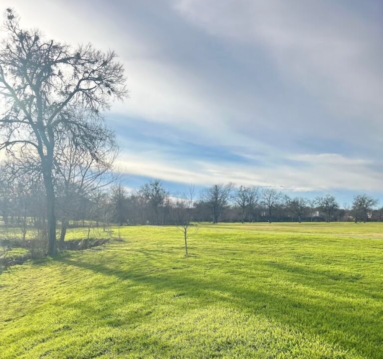 Soccer Field image 3