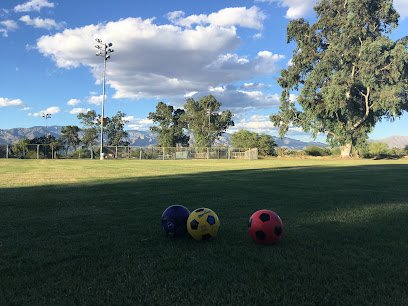 Soccer Field image 1