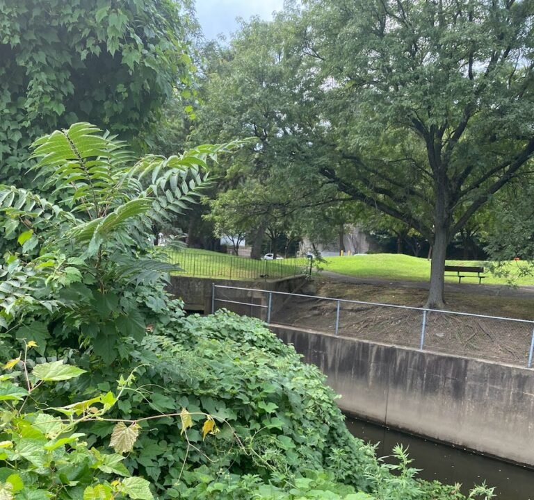 Soccer Field image 2