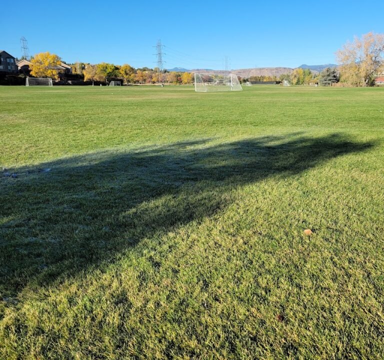 Soccer Field image 2