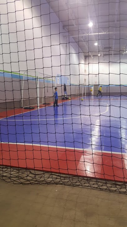 Soccer Field image 1
