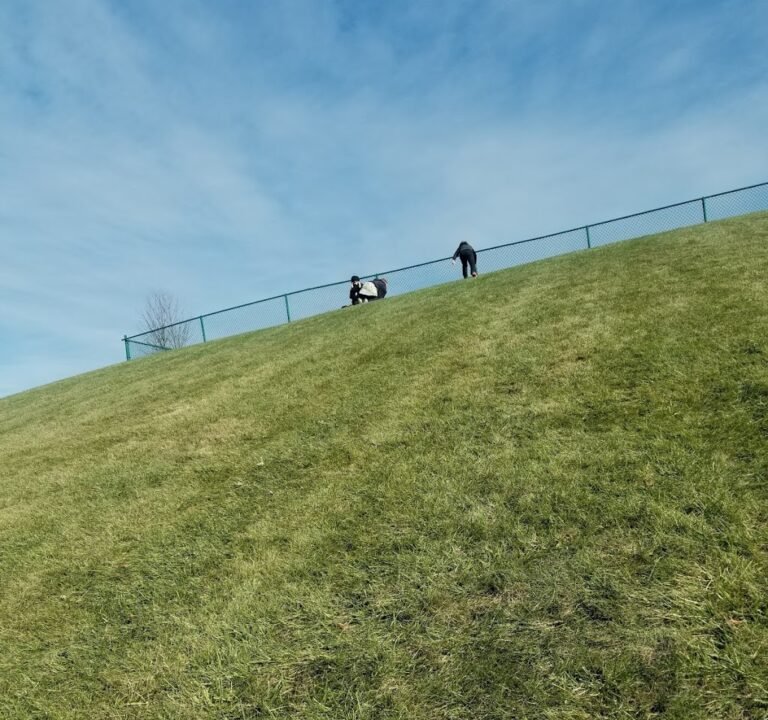 Soccer Field image 2