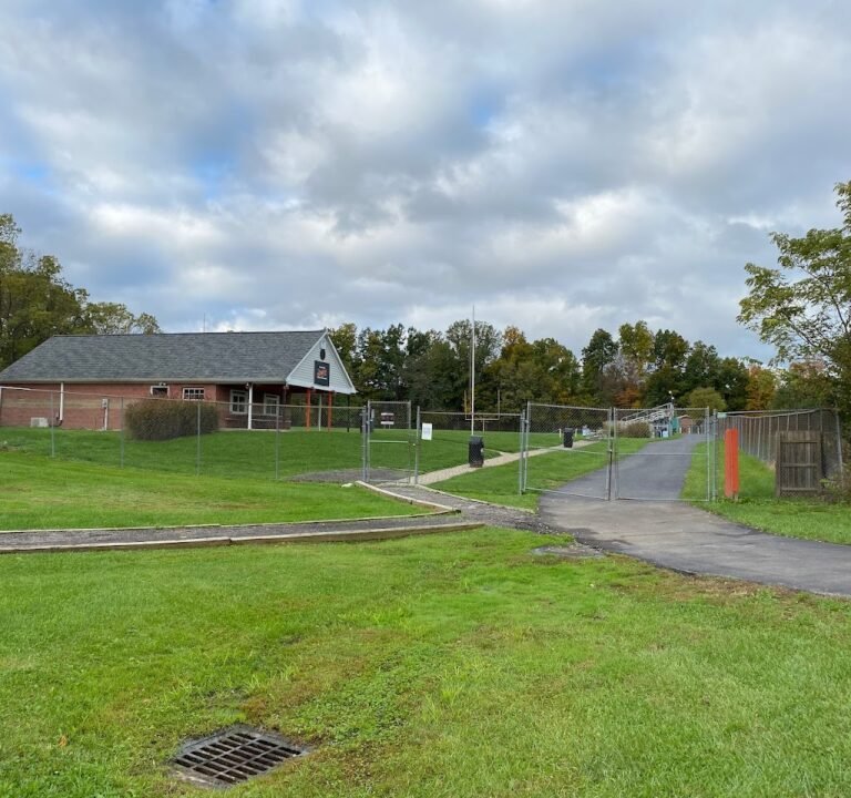 Soccer Field image 2