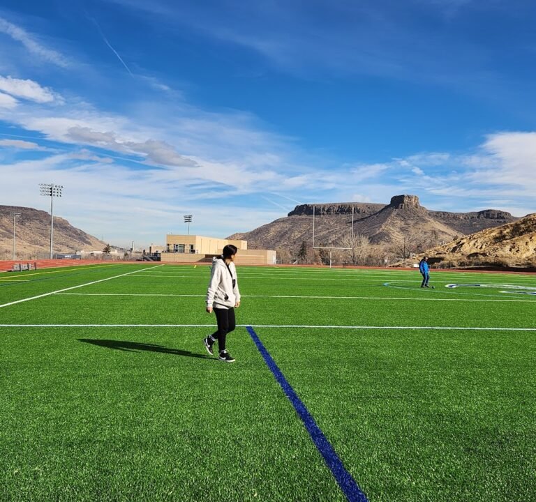 Soccer Field image 2
