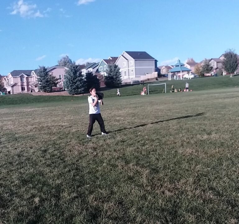Soccer Field image 4