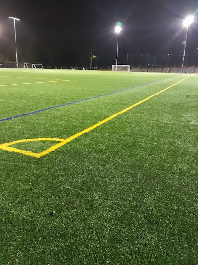 Soccer Field image 1
