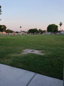 Soccer Field image 1