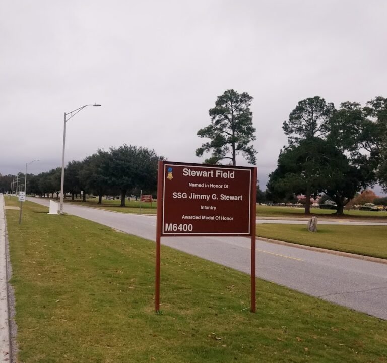 Soccer Field image 2