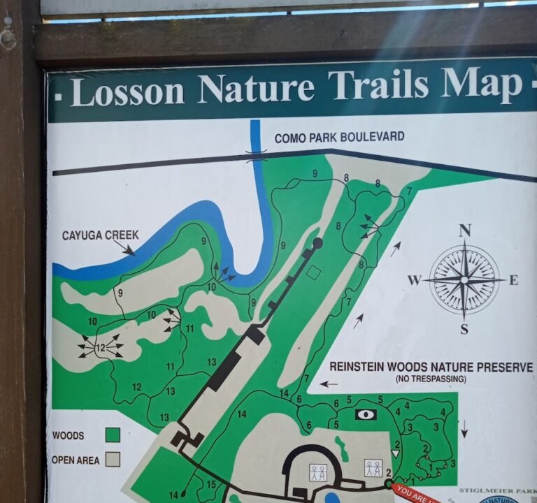 Soccer Field image 2