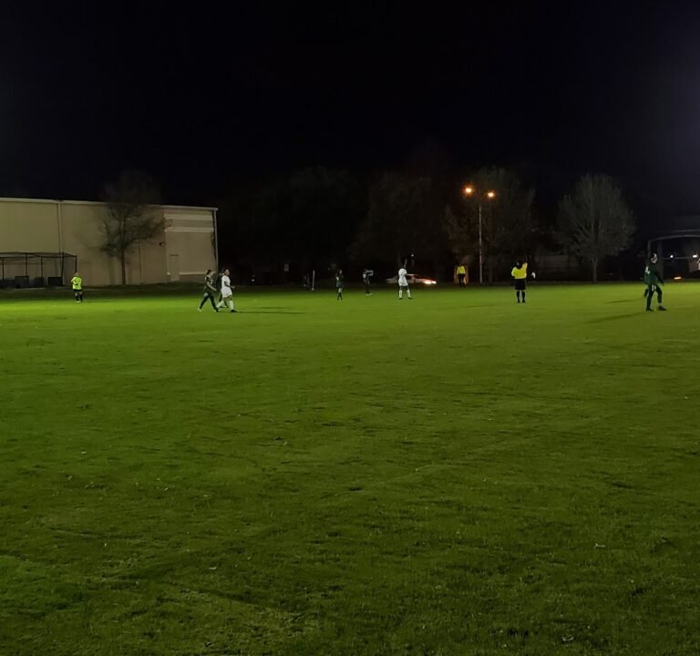Soccer Field image 3