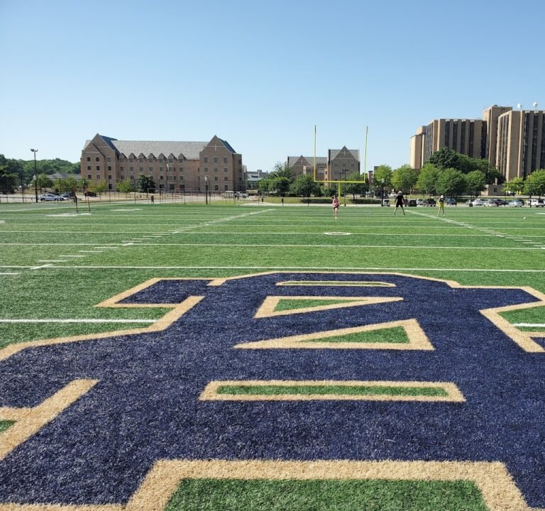 Soccer Field image 2