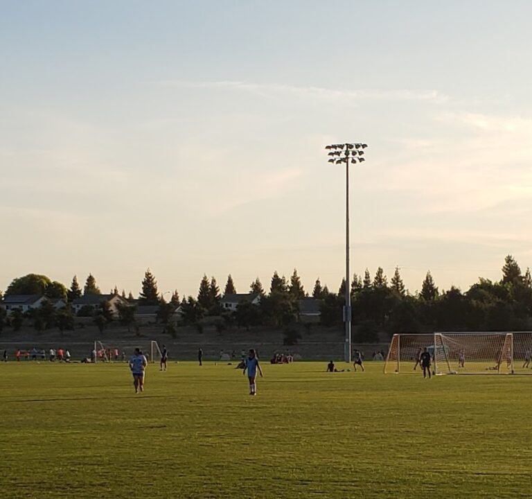 Soccer Field image 3