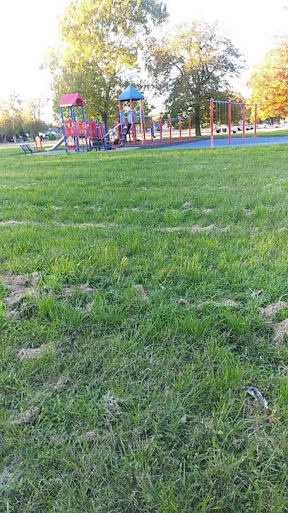 Soccer Field image 1