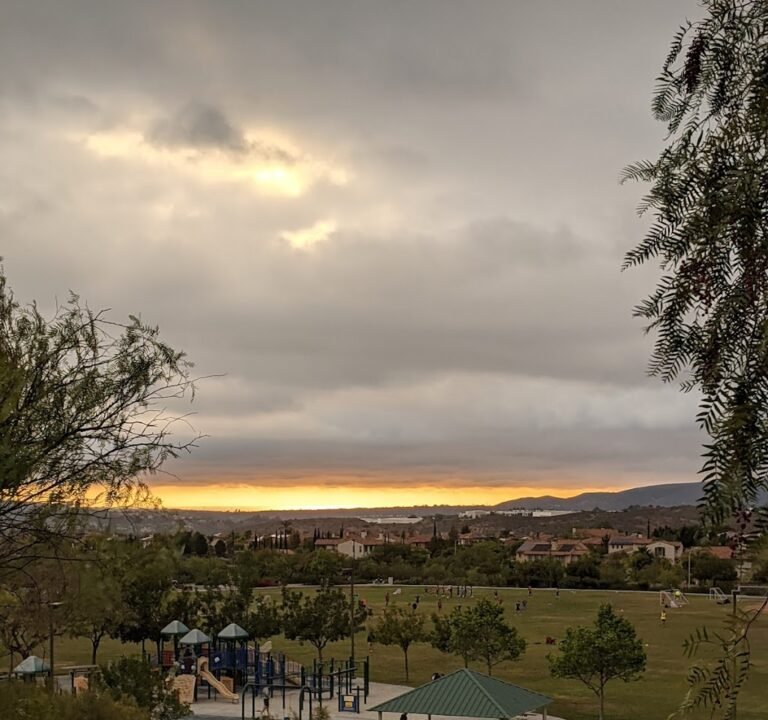 Soccer Field image 3