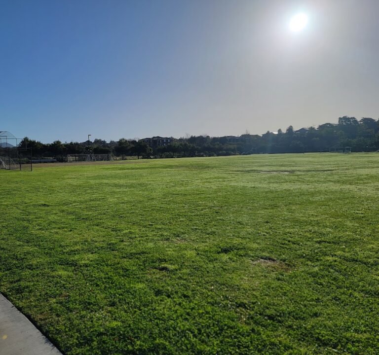 Soccer Field image 2