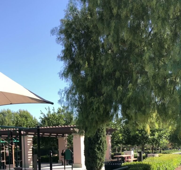 Soccer Field image 3