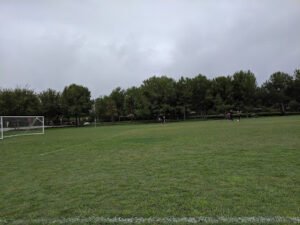 Soccer Field image 1