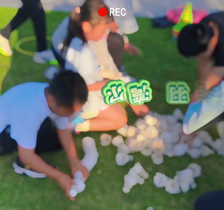 Soccer Field image 4