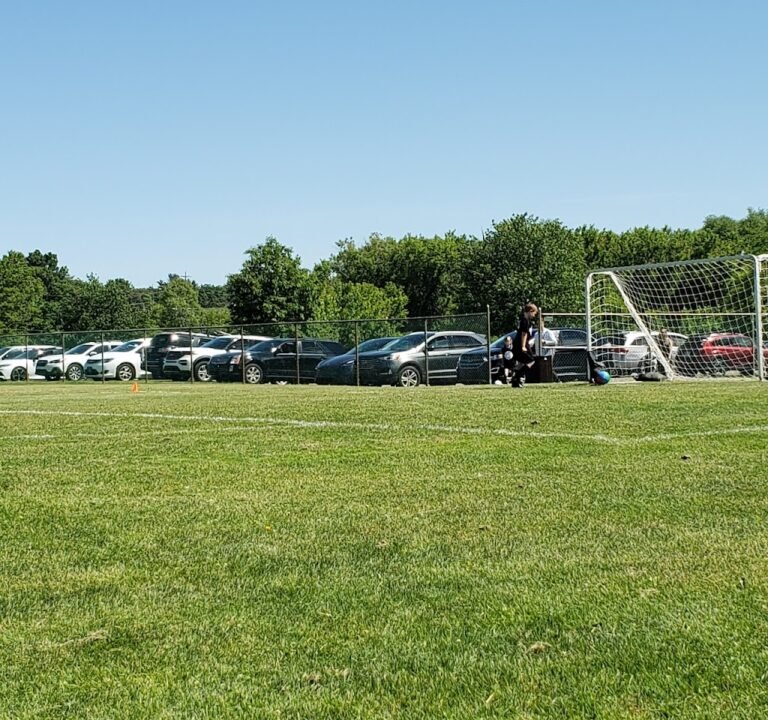 Soccer Field image 2