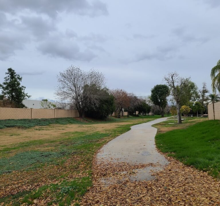 Soccer Field image 2