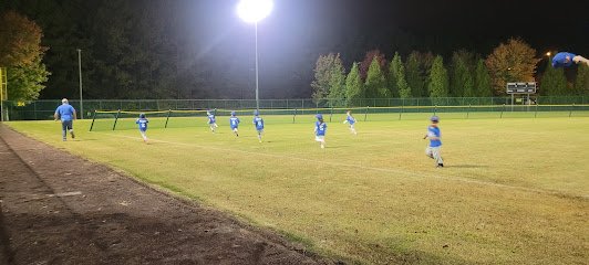Soccer Field image 1