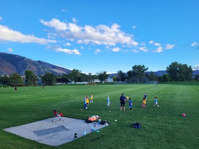 Soccer Field image 1