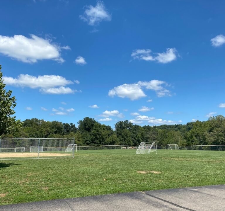 Soccer Field image 2