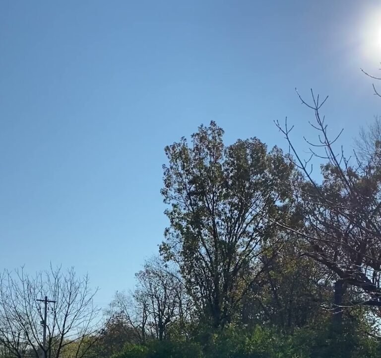 Soccer Field image 3