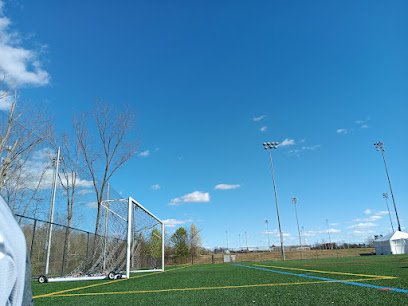 Soccer Field image 1