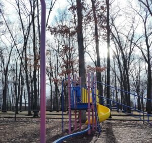 Soccer Field image 2