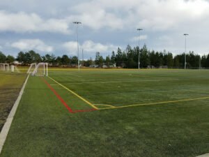Soccer Field image 1