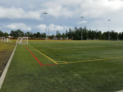 Soccer Field image 1