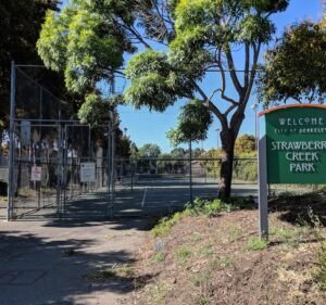 Soccer Field image 2