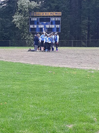 Soccer Field image 1