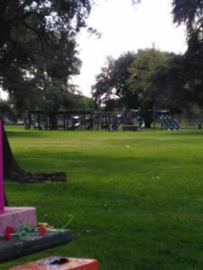 Soccer Field image 1