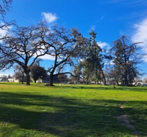 Soccer Field image 2
