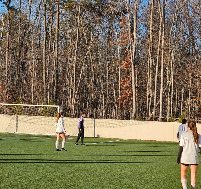 Soccer Field image 2