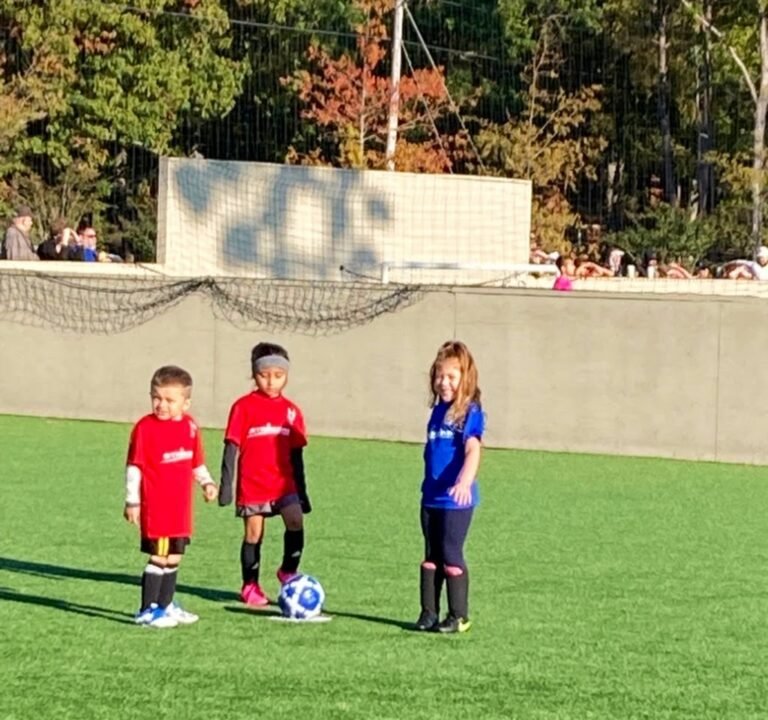 Soccer Field image 3