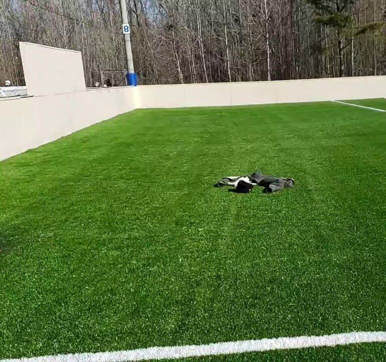 Soccer Field image 4