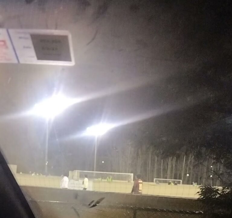 Soccer Field image 3