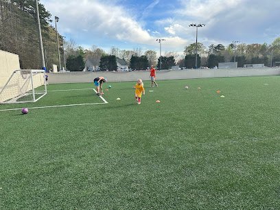 Soccer Field image 1