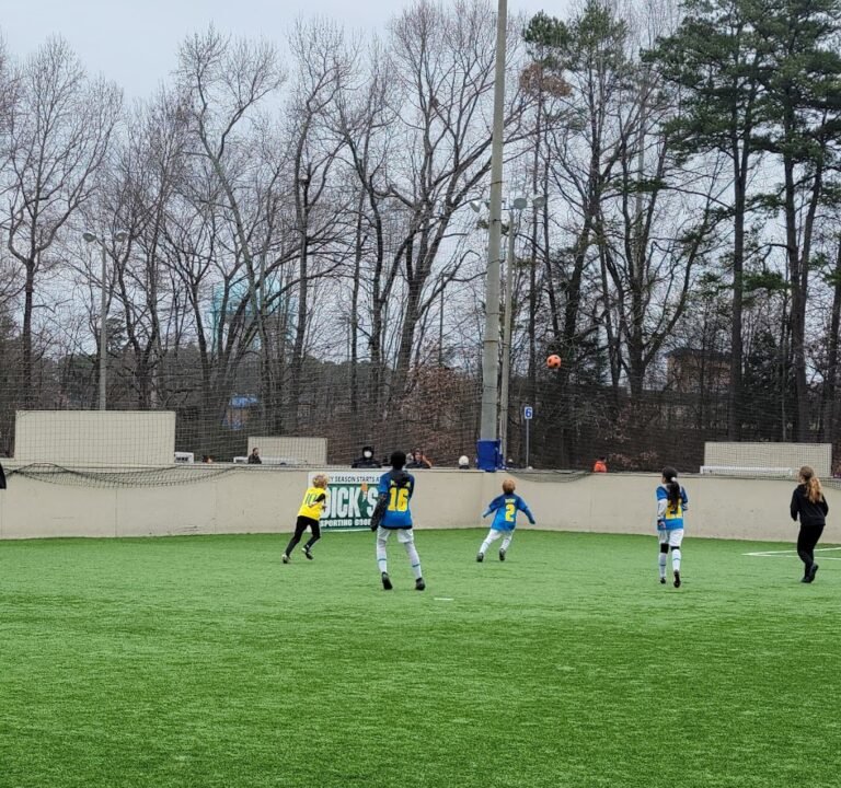 Soccer Field image 2