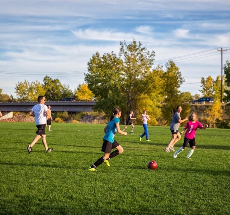 Soccer Field image 2