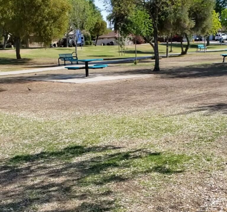 Soccer Field image 4