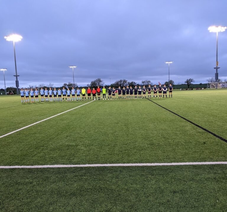 Soccer Field image 2