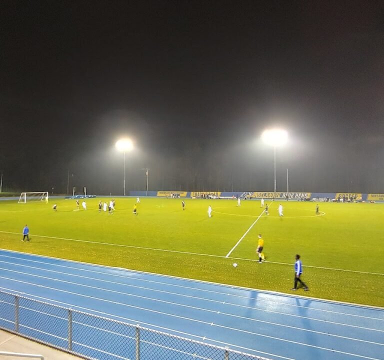 Soccer Field image 2