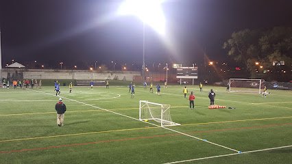 Soccer Field image 1