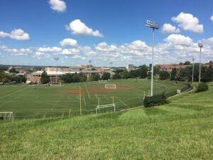 Soccer Field image 1